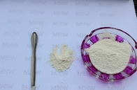Polvere dell'acido ialuronico/sodio puri Hyaluronate CAS grado dell'iniezione 9004 61 9